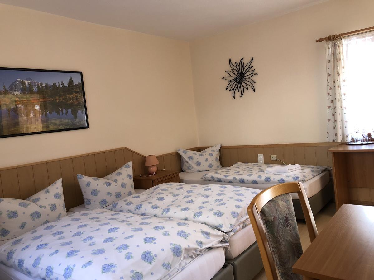 Pension Untere Rauner Muehle Bad Brambach Exterior foto