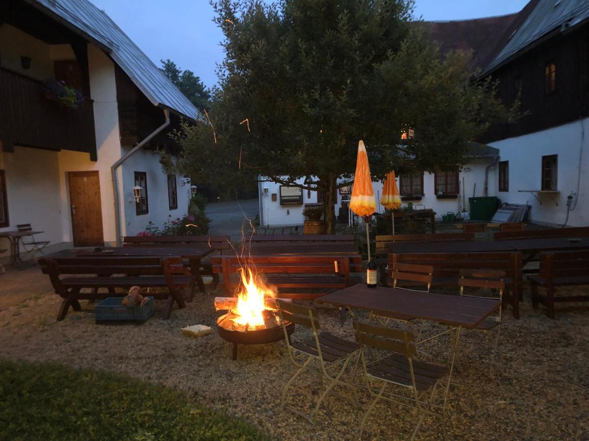 Pension Untere Rauner Muehle Bad Brambach Exterior foto